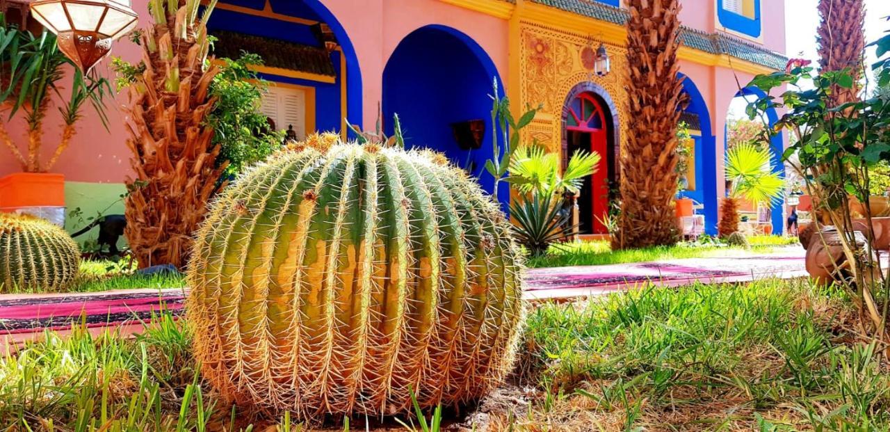 Riad Jasmine Sud Zagora Dış mekan fotoğraf